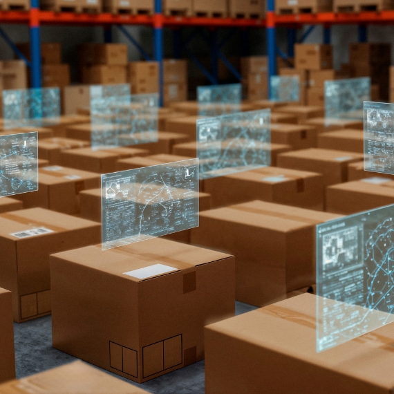 Distribution/Wholesale